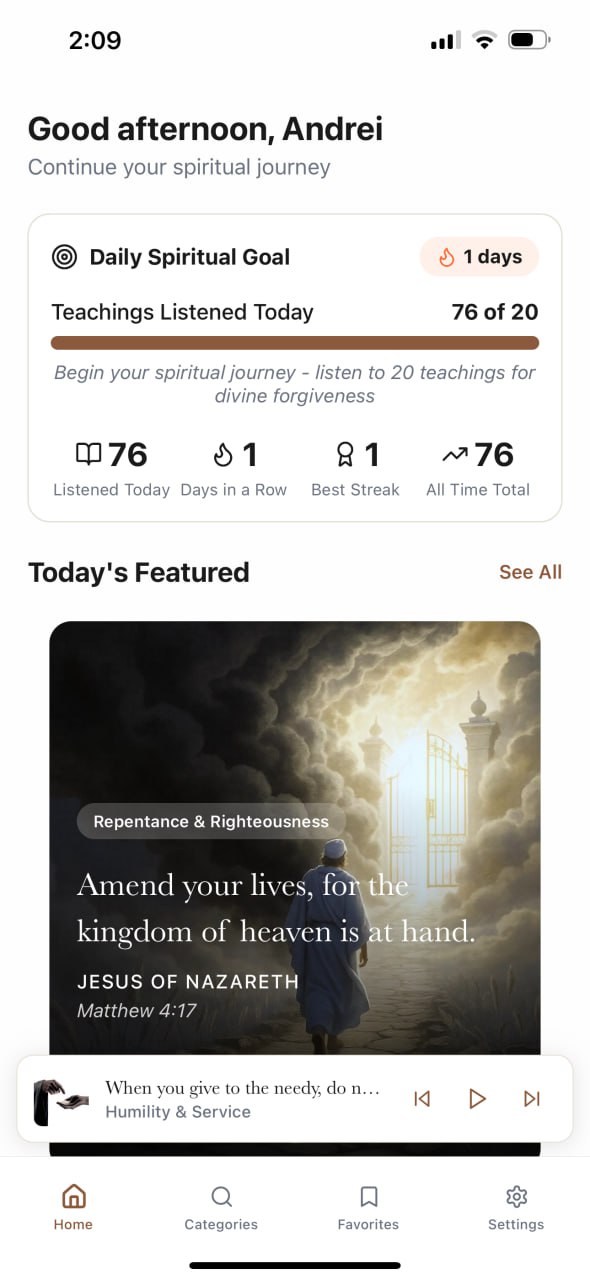 App Screenshot 2 - Player View